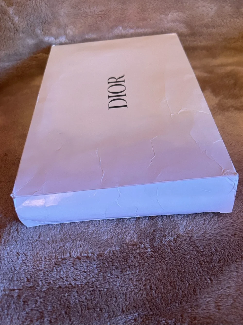 Dior Beige Cosmetic bag